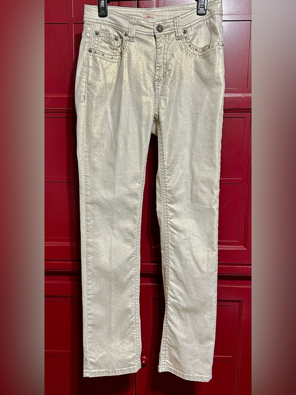 Reba Shimmery rhinestone studded  Jeans